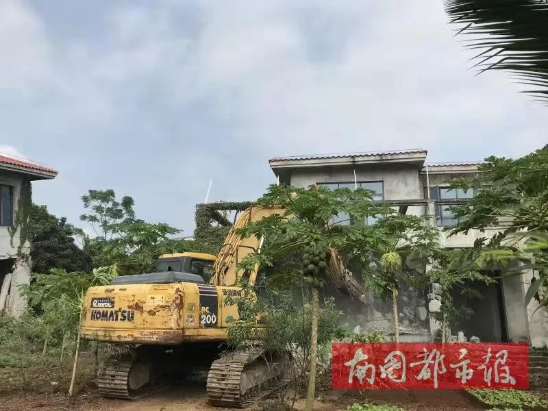 海南违建拆除最新消息，守护生态红线的坚定行动