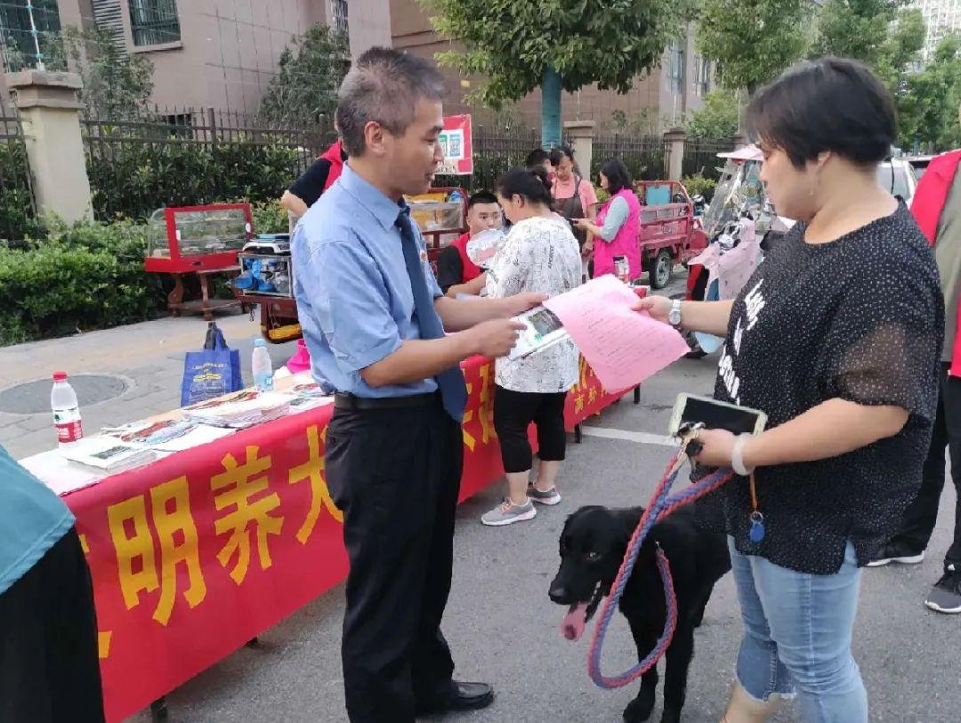 六安皋城王府最新消息全面解读