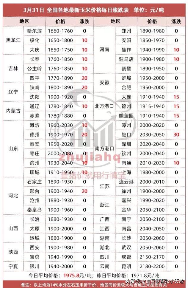 黑玉米价格最新行情分析