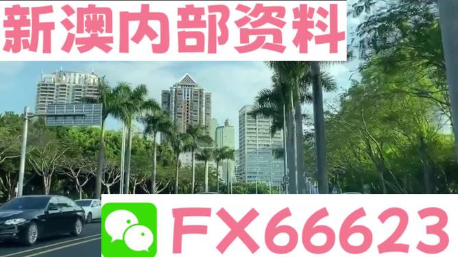 2024新澳最精准资料大全,2024新澳最精准资料大全详解