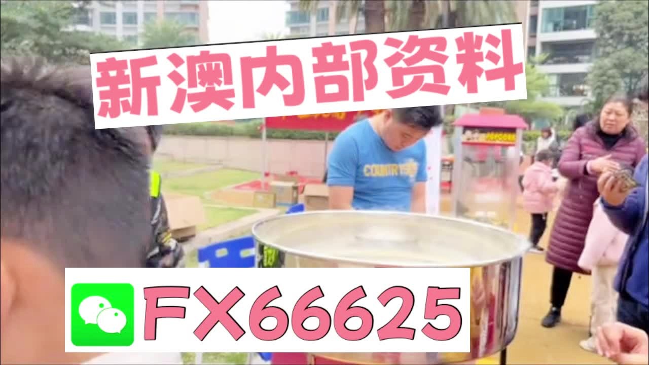 新澳天天开奖资料大全262期,新澳天天开奖资料大全第262期详解