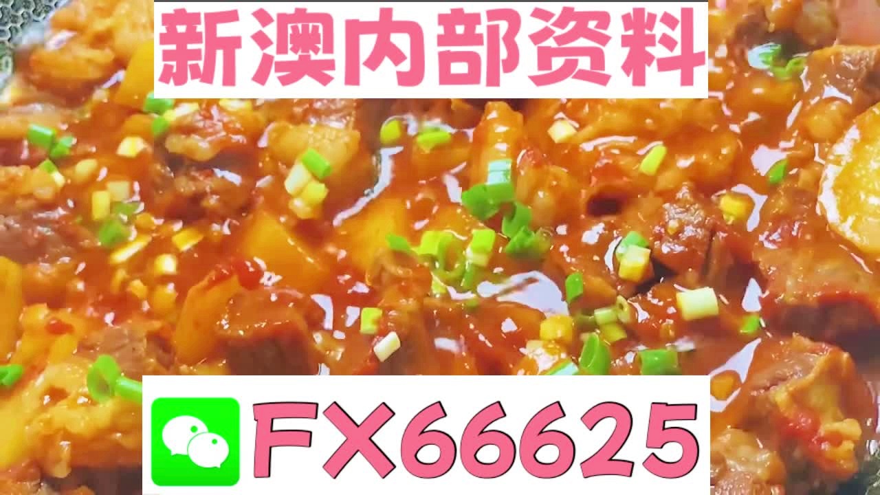 新澳天天开奖资料大全262期,新澳天天开奖资料大全第262期详解