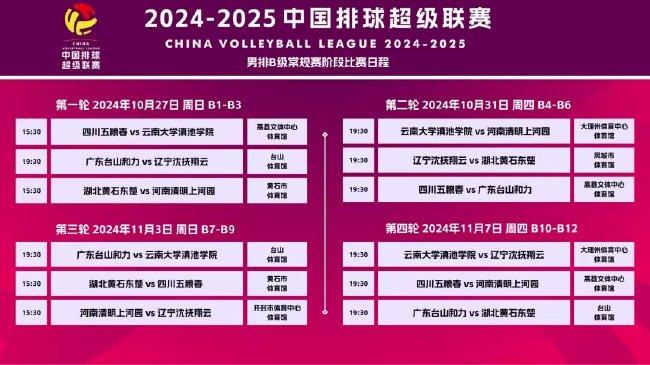 2024正版资料免费公开,迎接2024年，正版资料免费公开的新时代