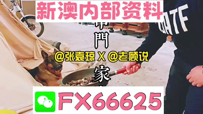 新澳门精准资料大全管家婆料,新澳门精准资料大全与管家婆料，探索与解读