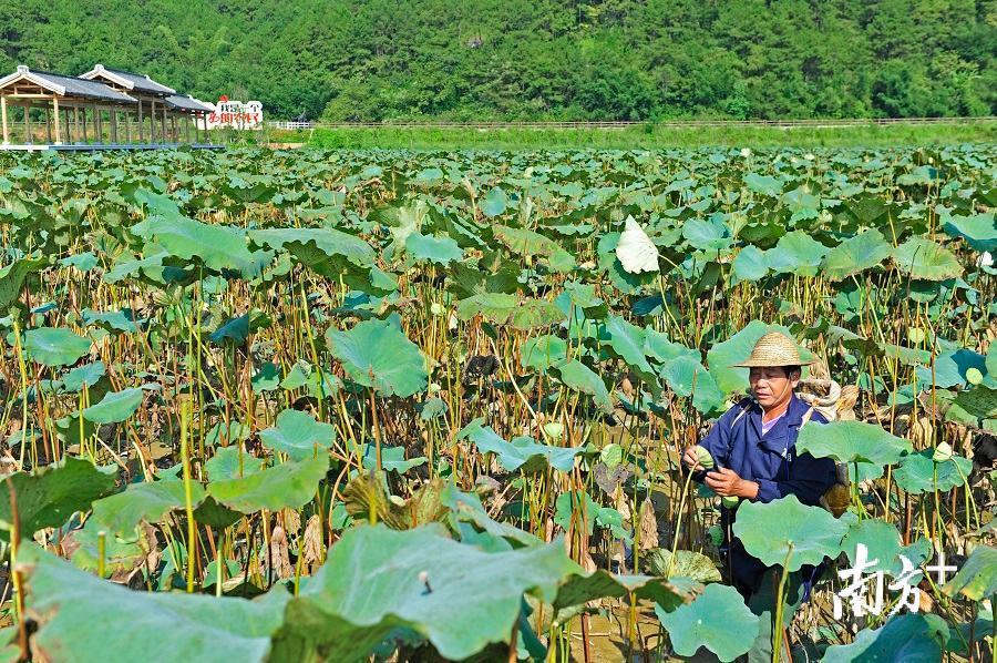 第七色最新地址在美国,第七色最新地址在美国，探索与发现