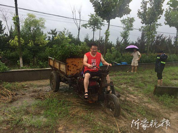 兰山办事处最新干部,兰山办事处最新干部群体，引领与担当