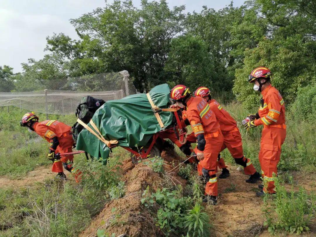 安徽地震网最新消息,安徽地震网最新消息，全面解析与应对策略