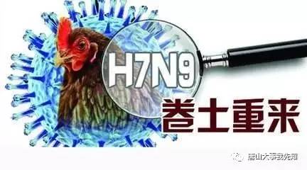 h1n9禽流感最新消息,H1N9禽流感最新消息，全球防控进展与应对策略