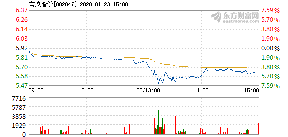 宝鹰股份增发最新消息,宝鹰股份增发最新消息全面解读