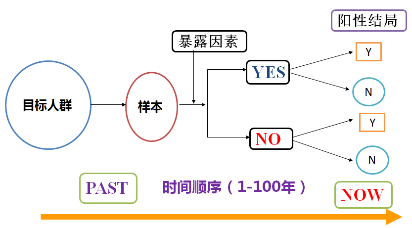 澳门4949最快开奖结果|精选资料解析大全,澳门4949最快开奖结果与精选资料解析大全