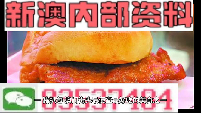 澳门2024年精准资料大全|精选资料解析大全,澳门2024年精准资料大全与精选资料解析大全