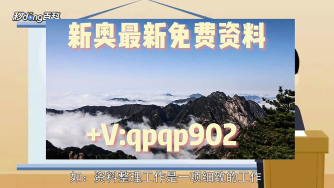 2O24新奥最精准最正版资料|精选资料解析大全,解析新奥2024年最精准最正版资料精选资料解析大全