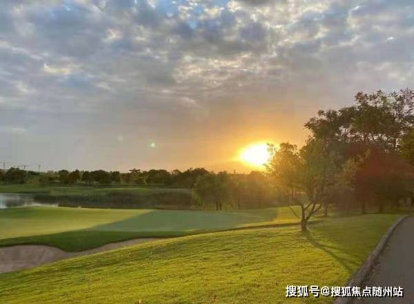 管家婆精准资料大全免费精华区|精选资料解析大全,管家婆精准资料大全免费精华区与精选资料解析大全详解