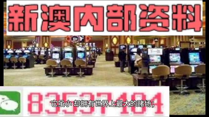 2024奥门免费精准资料|精选资料解析大全,澳门免费精准资料与精选资料解析大全，探索未来的奥秘与机遇