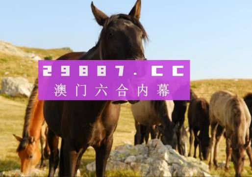 新管家婆一肖六码|精选资料解析大全,新管家婆一肖六码精选资料解析大全