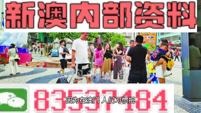 2024澳门正版免费精准资料|精选资料解析大全,澳门正版免费精准资料与精选资料解析大全，探索未来的关键所在