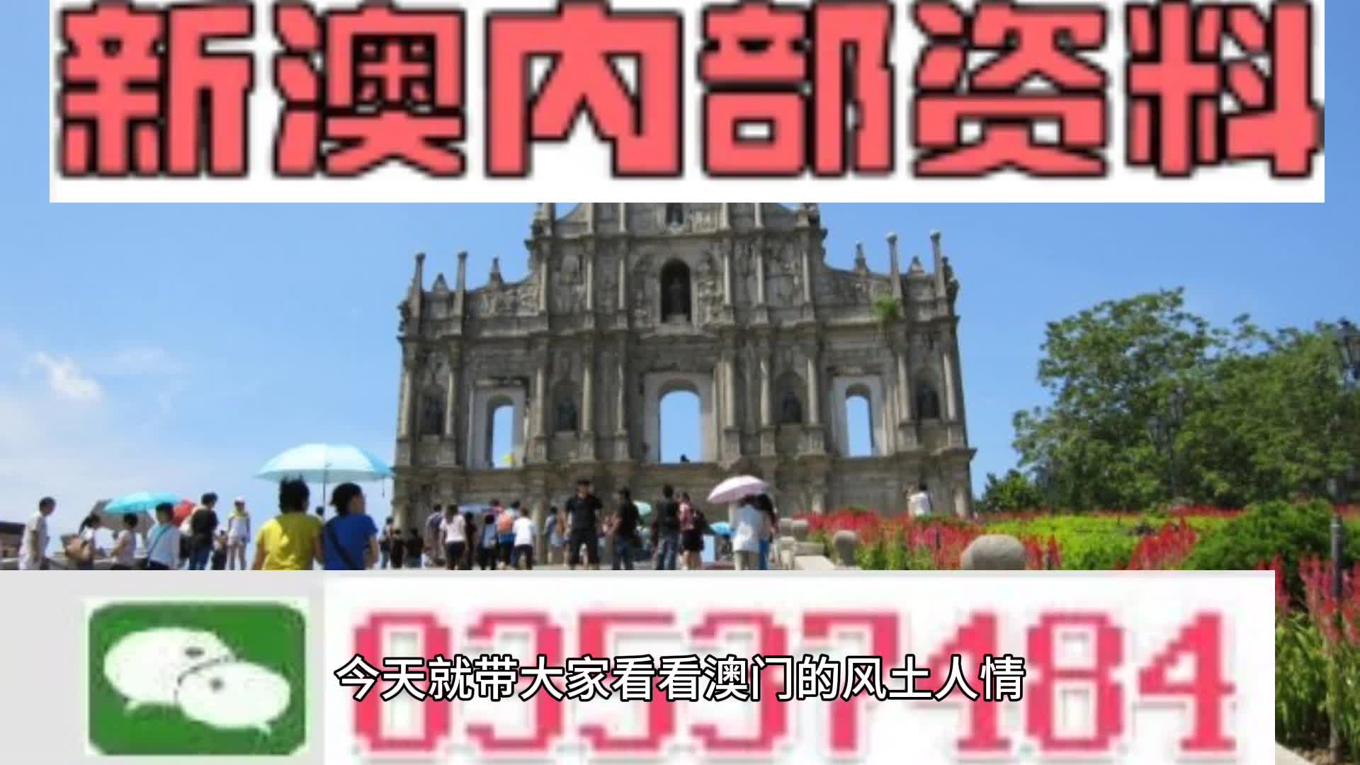 新澳2024今晚王中王免费资料|精选资料解析大全,新澳2024今晚王中王免费资料与精选资料解析大全