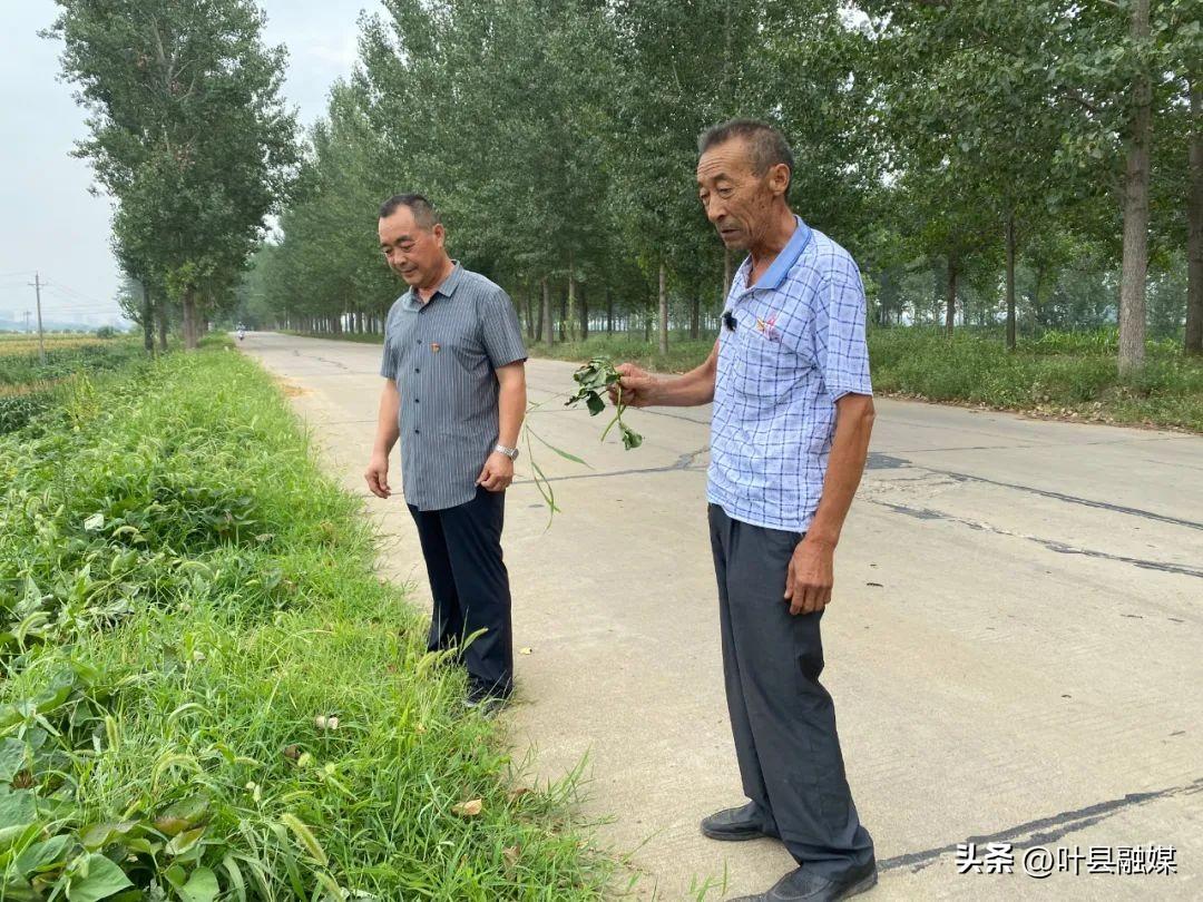 高阳贴吧最新消息车祸,高阳贴吧最新消息，车祸事件震惊社会